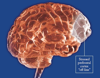 aju stressis